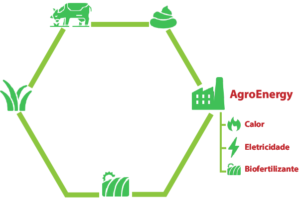 AGROENERGY